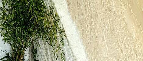 Cottage | Property grounds