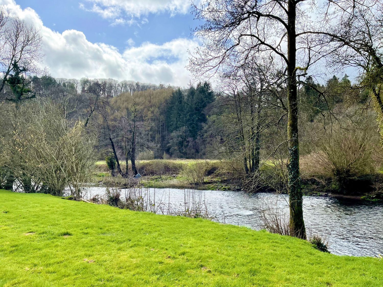 A river with a grassy bank and trees in the background.