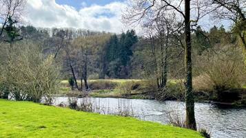 A river with a grassy bank and trees in the background.