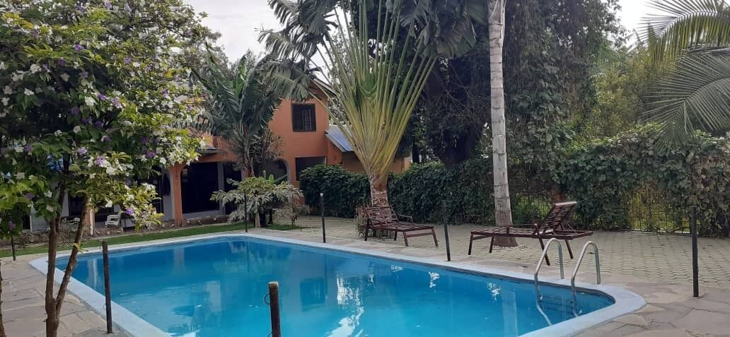 Indoor pool, sun loungers