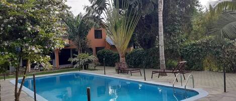 Indoor pool, sun loungers