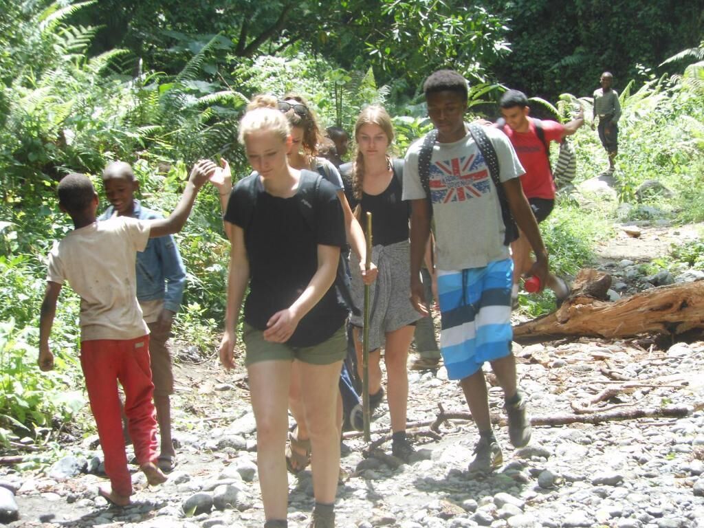 A group of people walking on a rocky path surrounded by dense greenery.