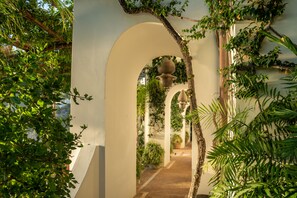 Exterior - Villa Treville (Positano)