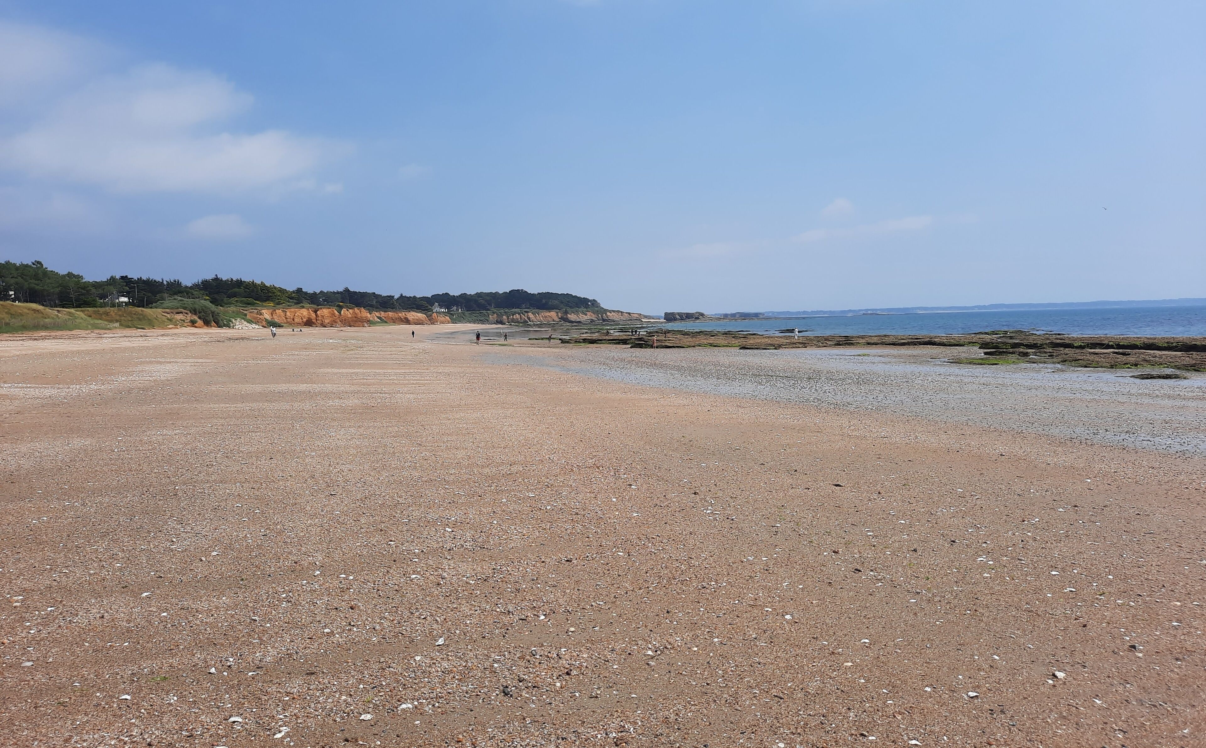 A pebbly beach with a clear sky and distant hills.