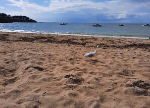 Sun loungers