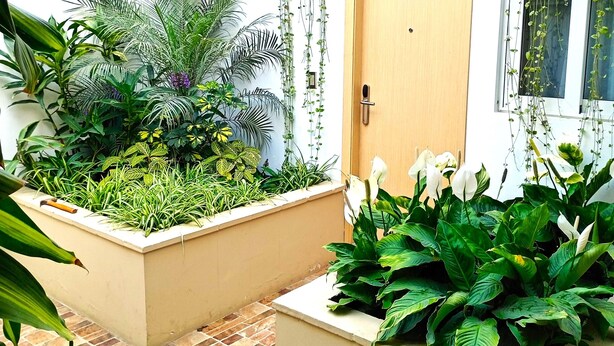 A courtyard with potted plants, a wooden door, and a tiled floor. - Casablanca (Santiago de Surco)