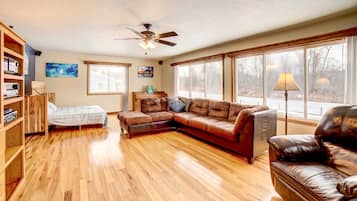 TV, fireplace, DVD player, books