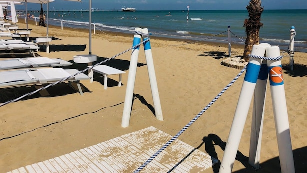 A beach with sun loungers, umbrellas, and a palm tree.