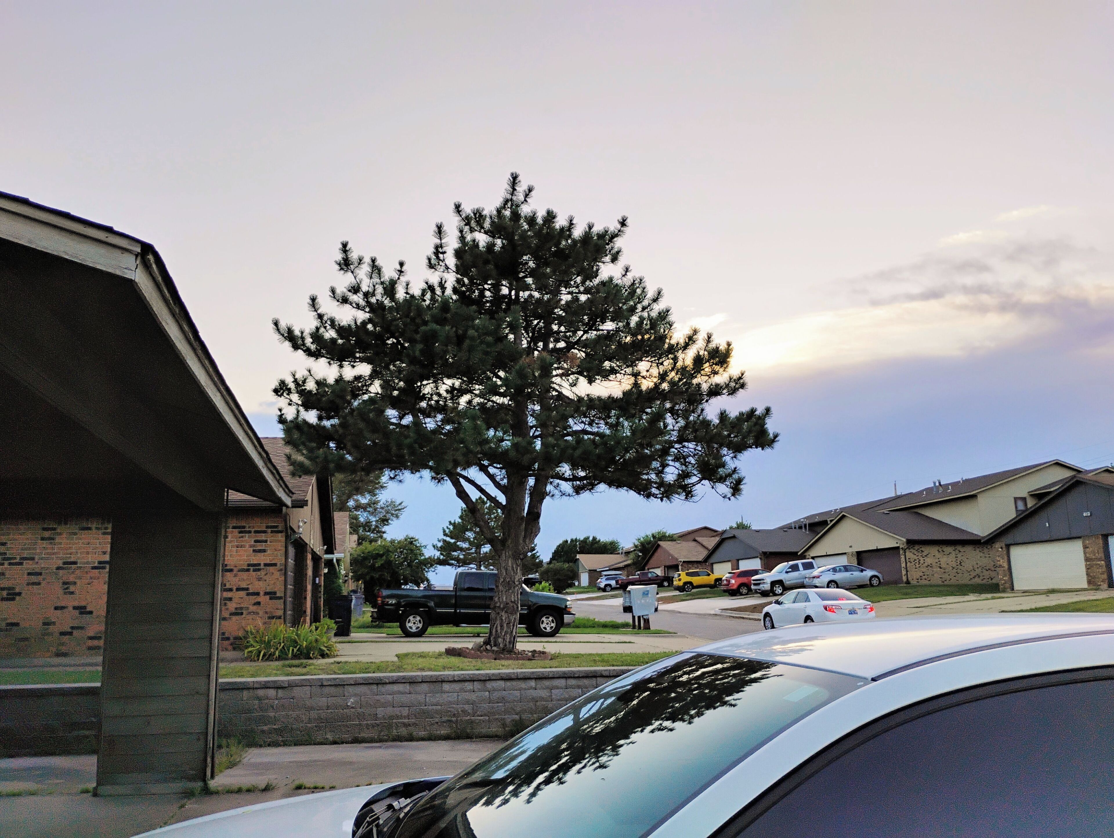 A residential street with houses, parked cars, and a large tree in the center.