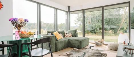 TV, books, stereo