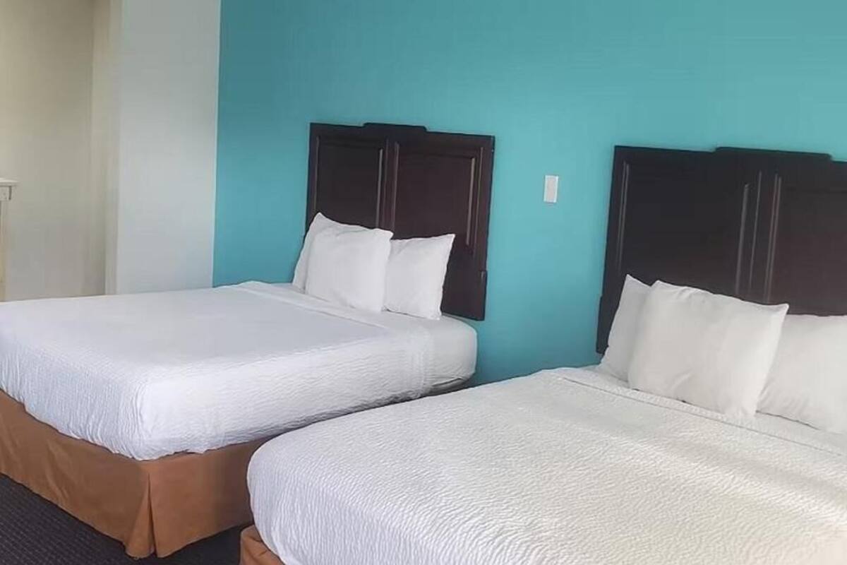 Twee eenpersoonsbedden met donkere hoofdborden in een kamer met turquoise muren.