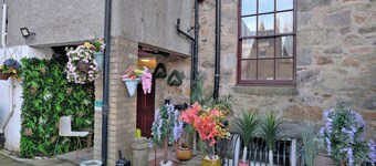 Grand Mansion, 9 Beds, Sleeps 17, Parking - Groups