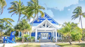 A building with a blue and white color scheme, palm trees, and a clear sky.