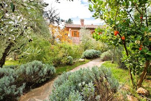 A garden pathway leading to a house with a brick facade and a chimney.