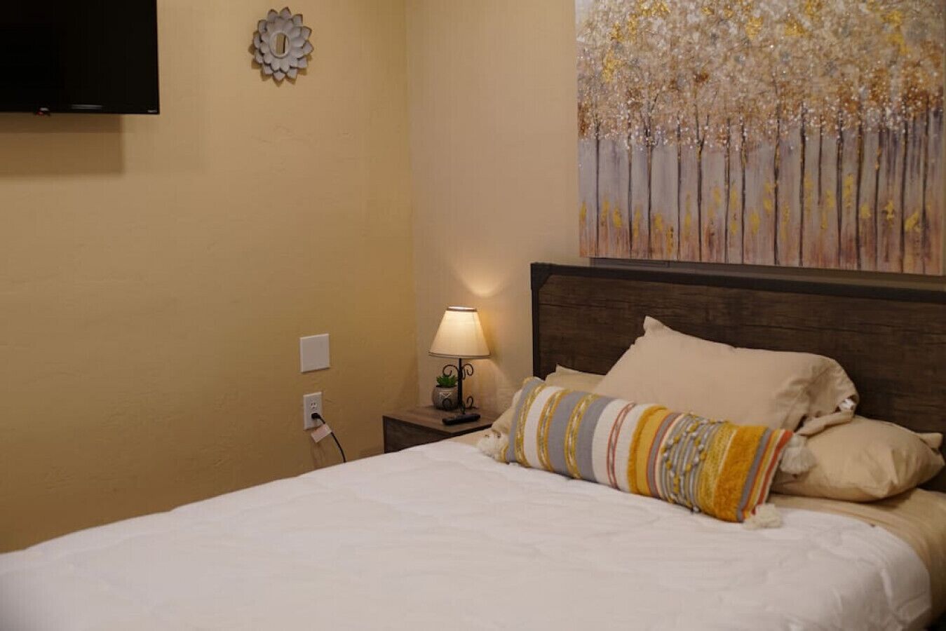 Duke D · Delightful Homestay Found in Midtown Tucson