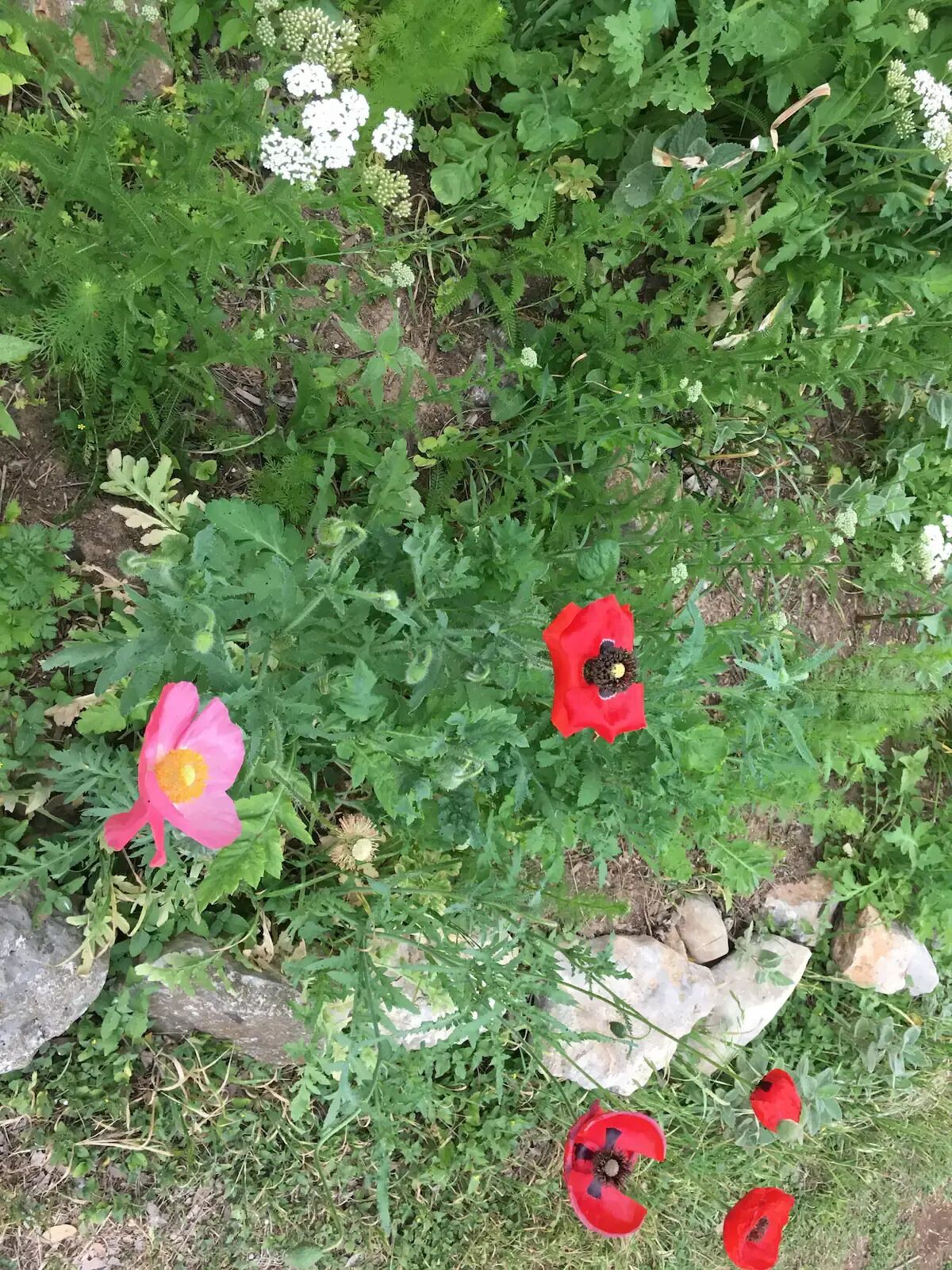 Unique Group Getaway Abode