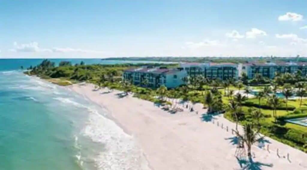 Tumbonas y toallas de playa