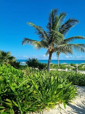 Liegestühle, Strandtücher