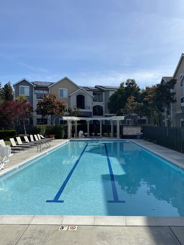 Cozy Studui Apartment