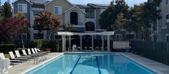 Cozy Studui Apartment