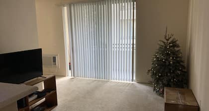 Cozy Studui Apartment