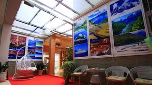 Een kamer met een rood tapijt, een hangstoel en een wand met landschapsposters.