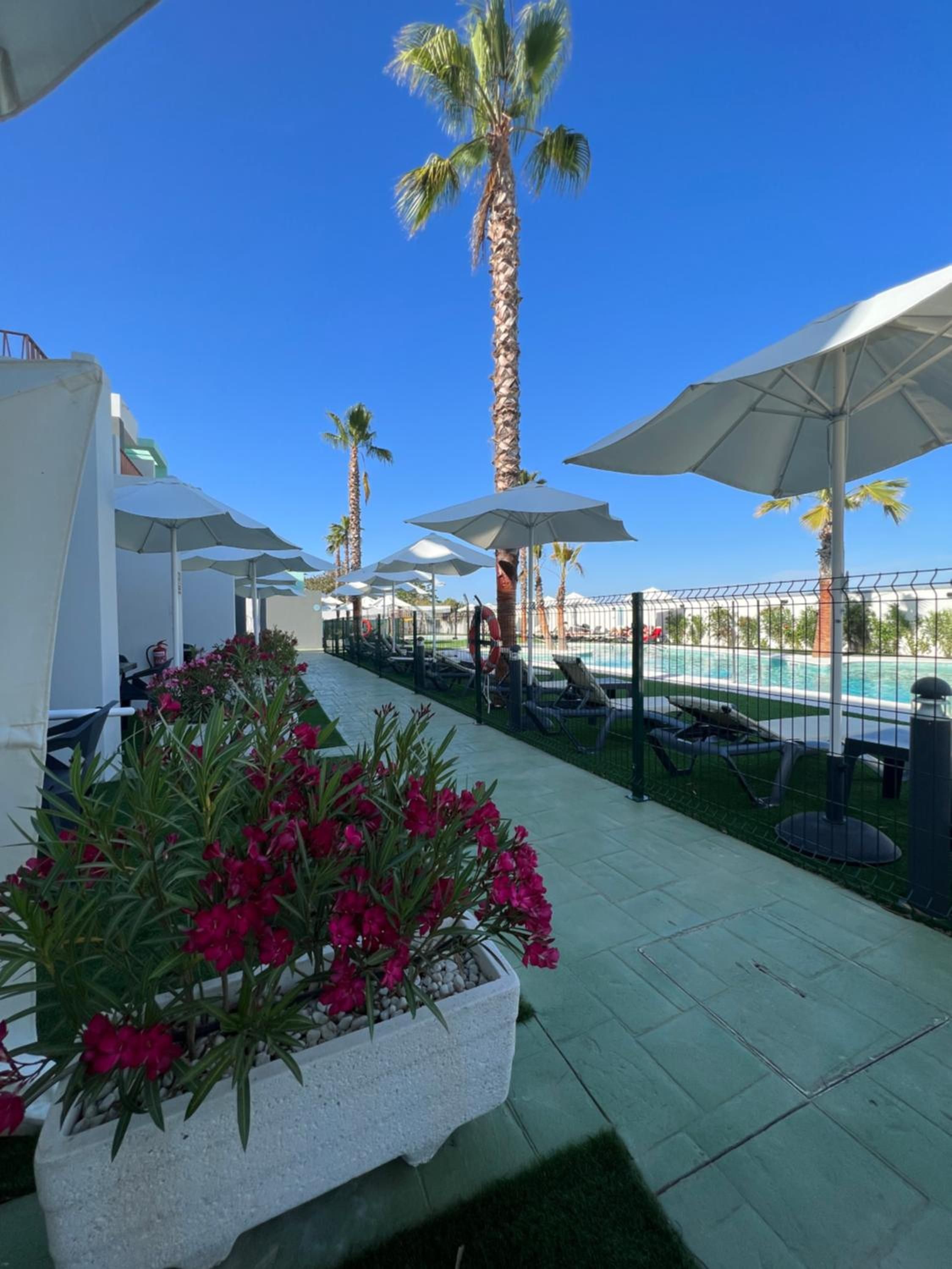 Zona junto a la piscina con sillones de descanso, sombrillas y una jardinera de hormigón con flores.