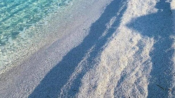 A beach with clear turquoise water, sandy shore, and rocky cliffs in the background. - HOUSE SEA MOUNTAIN (Bonarcado)