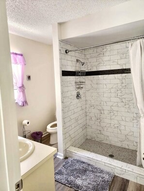 Shower, hair dryer, towels, soap - Beautiful 3BR Pool home / Billiards / Spa / Close to airport (Tampa)