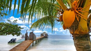 Un muelle de madera que lleva a una construcción con techo de paja en una playa, con una palmera de coco en primer plano.