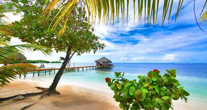 Reefside Retreat - 4 Private Oceanfront Casitas