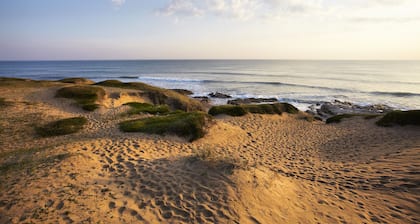 Le Ponton Bleu vue face au Port