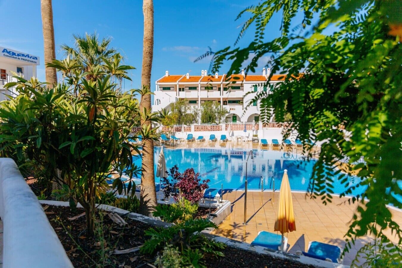 Una piscina con lettini e ombrelloni, circondata da palme e da un edificio con tetto in tegole.