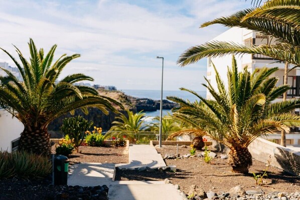 A coastal pathway with palm trees, a clear sky, and a view of the sea.