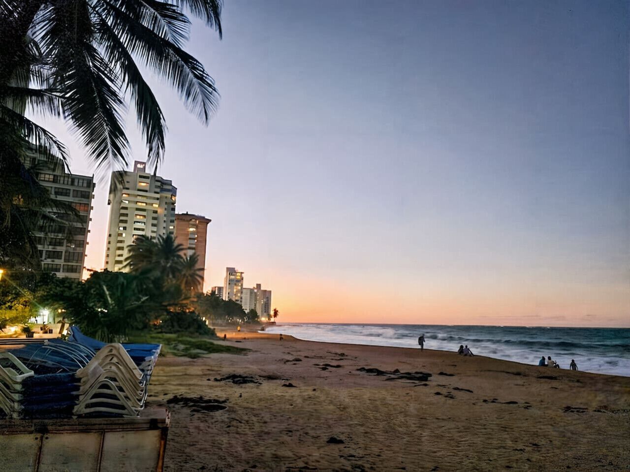 Una playa con una fila de edificios altos al fondo, palmeras y un mar tranquilo.