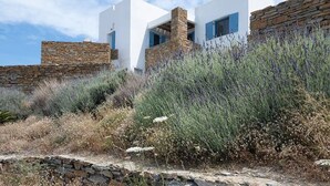 Uma casa moderna com paredes brancas e detalhes em pedra, rodeada por vegetação seca e um muro de pedra.