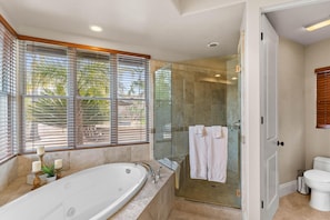 Un baño moderno con ducha envuelta en vidrio, una bañera independiente y un inodoro.