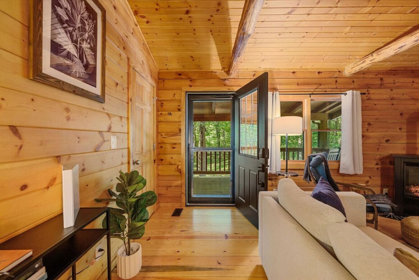 TV, fireplace, DVD player, books