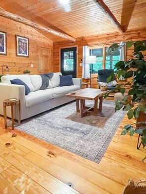 TV, fireplace, DVD player, books - Modern Cabin w/ Trail to Waterfall/Cave/Cliff (FV) (Rockbridge)