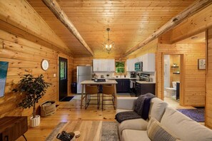 TV, fireplace, DVD player, books - Modern Cabin w/ Trail to Waterfall/Cave/Cliff (FV) (Rockbridge)