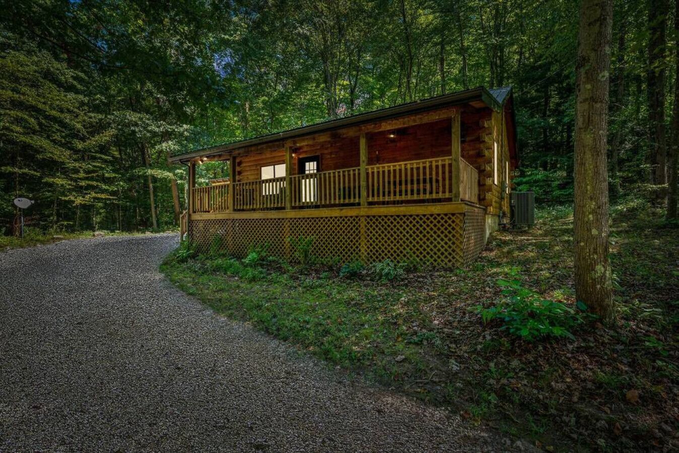 Een houten hut met een veranda, omgeven door dicht bos.