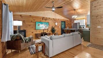 Télévision, cheminée, lecteur de DVD, livres