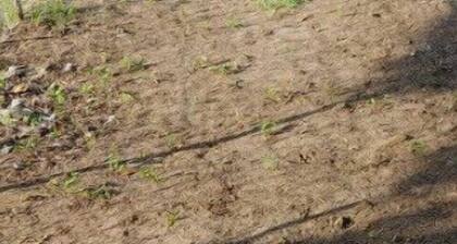 Downtown Longview Cozy Loft -Near Hospital + Grill