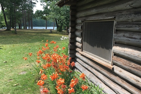 Rustic log in spring