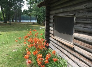 Eine Blockhütte mit großem Fenster, umgeben von einer Wiese mit orangefarbenen Blumen.