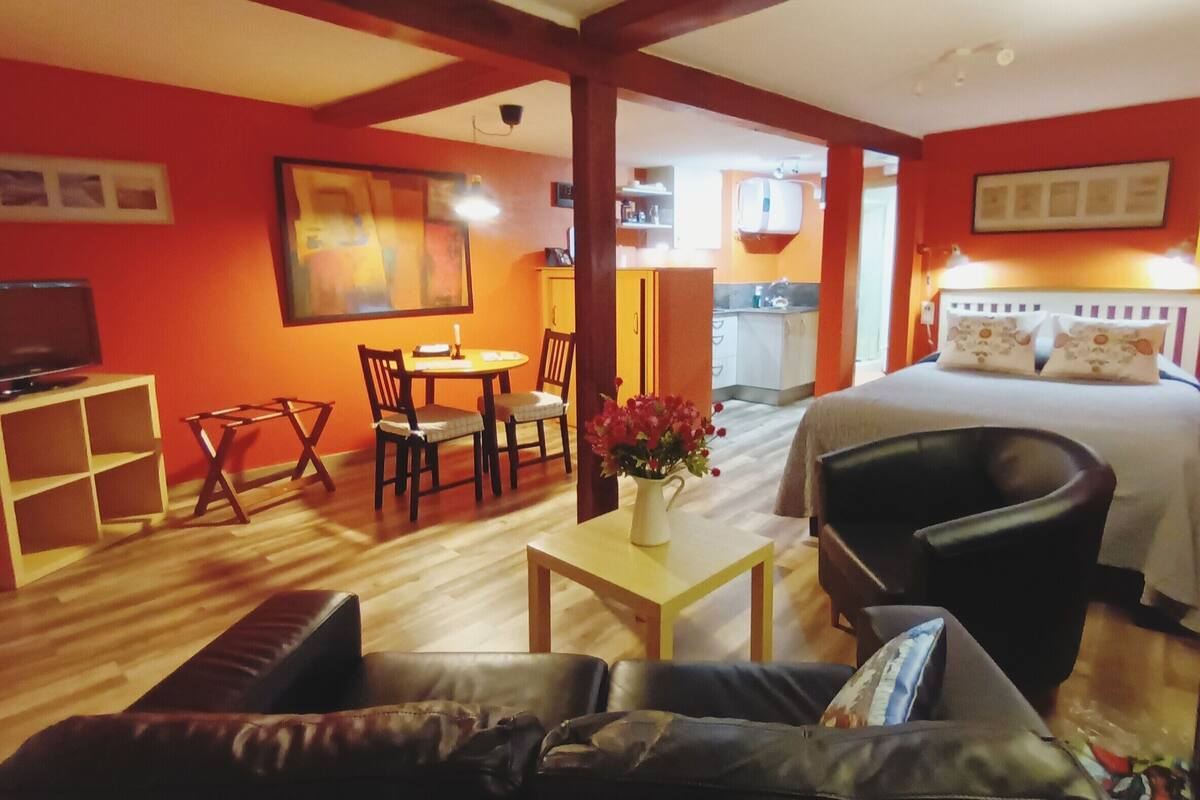 Superior Apartment | 1 bilik tidur, peralatan tempat tidur premium, gebar bulu kapas