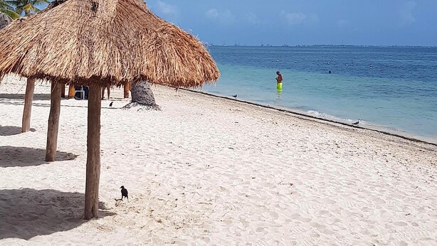 Vlak bij het strand, wit zand, 3 strandbars