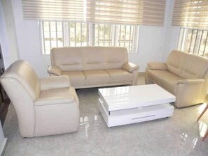 Televisión 