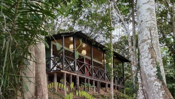 Una cabaña de madera con balcón, rodeada de un bosque frondoso.