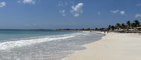 بالقرب من الشاطئ، كراسي للتشمس